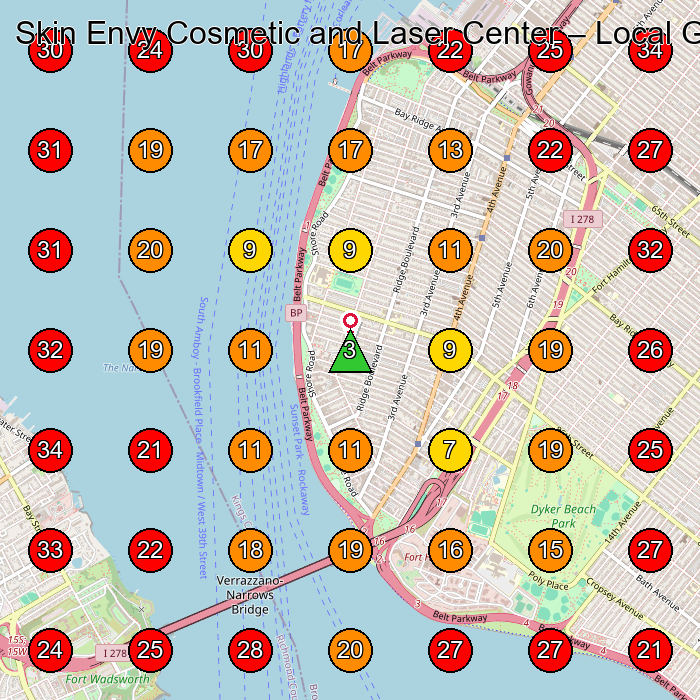 Skin Envy Cosmetic and Laser Center GeoGrid visibility map for Medical Spa in Brooklyn